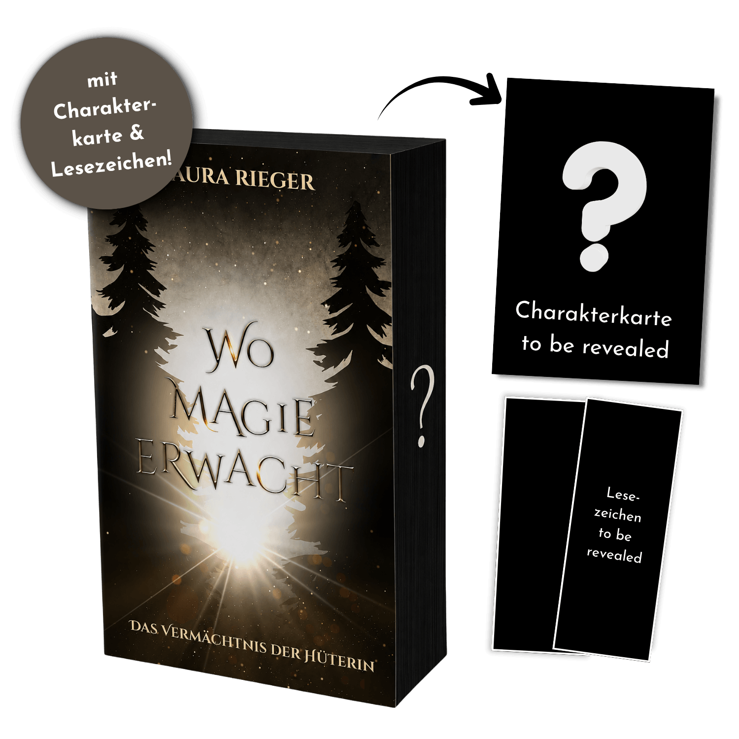 Wo Magie erwacht – exklusive Farbschnittausgabe (Band 3)